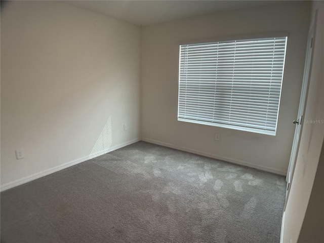 empty room featuring carpet floors