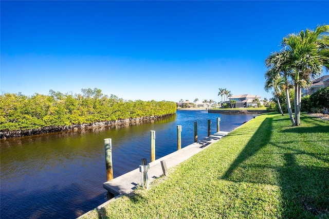 dock area with a yard and a water view