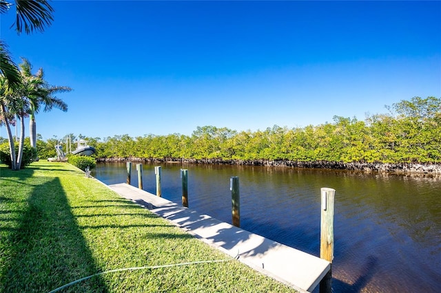 dock area featuring a yard and a water view