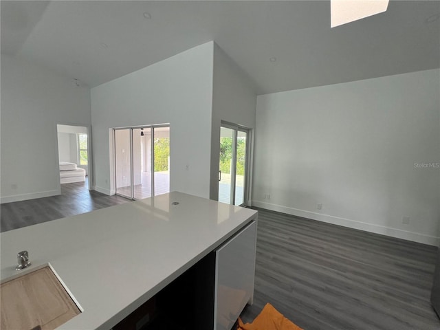 kitchen featuring high vaulted ceiling, dark wood-type flooring, and sink