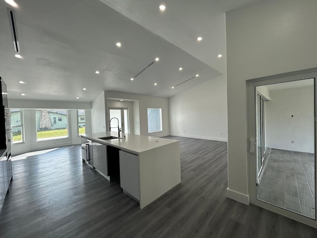 kitchen featuring dark hardwood / wood-style floors, a kitchen island with sink, and sink