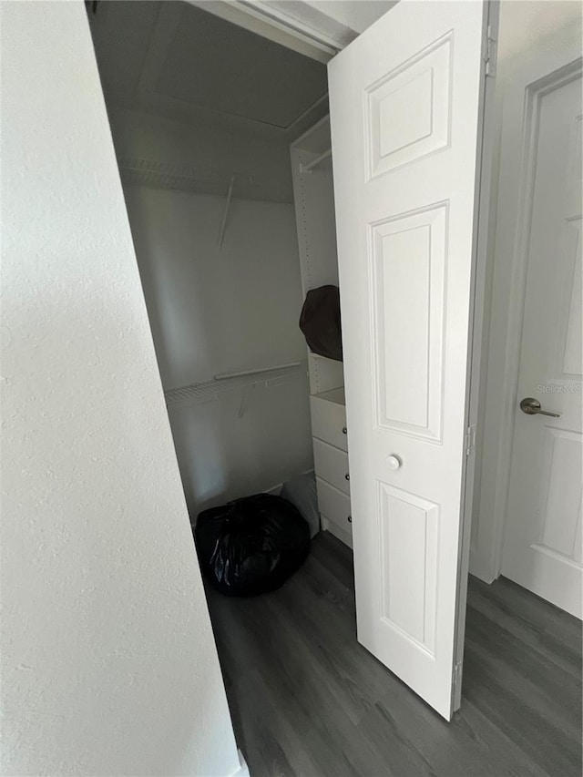 spacious closet featuring dark hardwood / wood-style floors