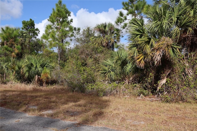 Patriot Cir, North Port FL, 34288 land for sale