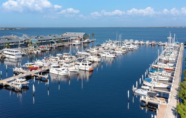 property view of water featuring a dock