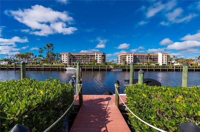 dock area with a water view