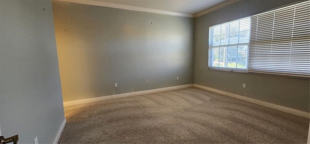 carpeted spare room featuring ornamental molding