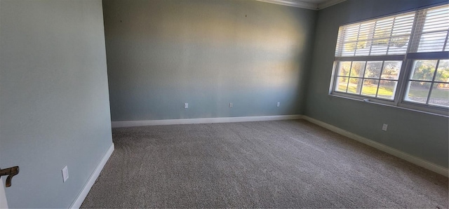 carpeted spare room with ornamental molding