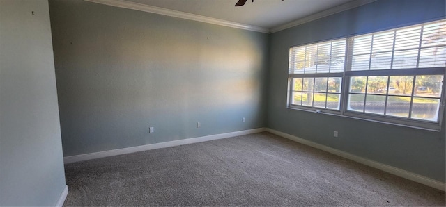 carpeted spare room featuring ceiling fan and ornamental molding