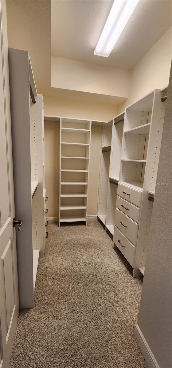 spacious closet featuring light colored carpet