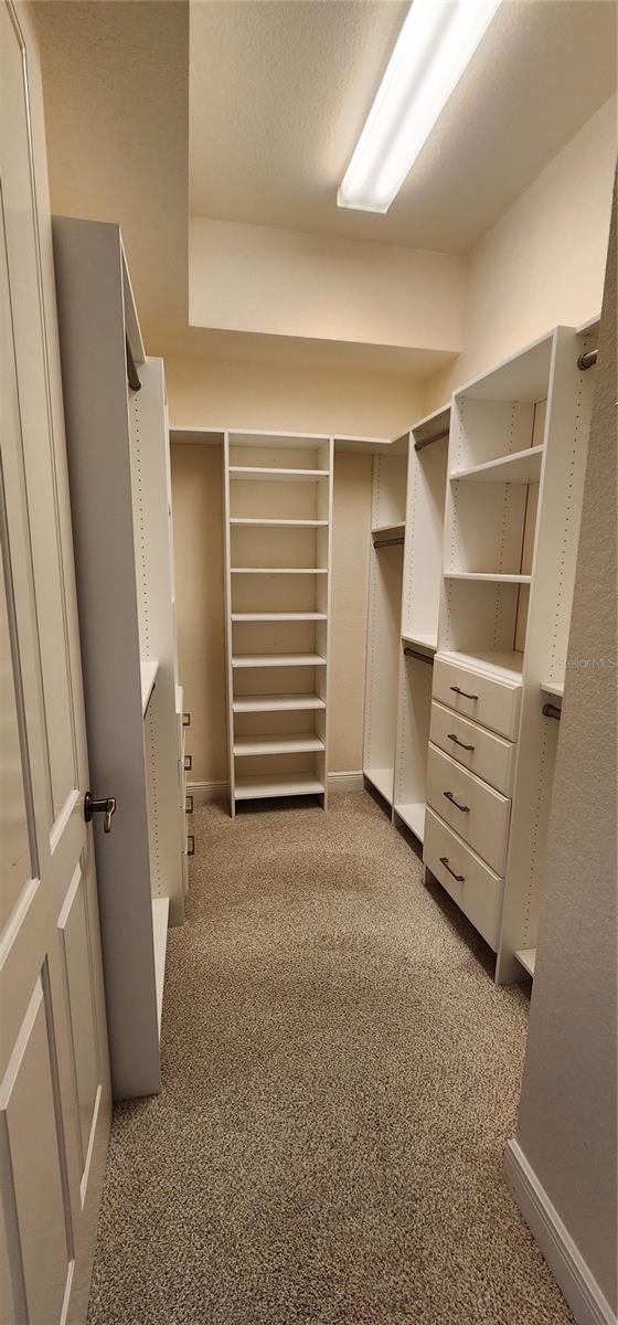 walk in closet with light carpet