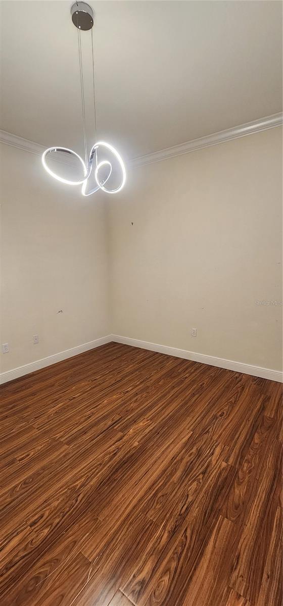 spare room featuring dark hardwood / wood-style floors and ornamental molding