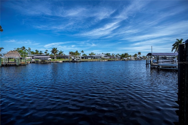 property view of water with a boat dock