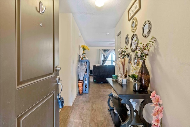 entrance foyer featuring light hardwood / wood-style floors