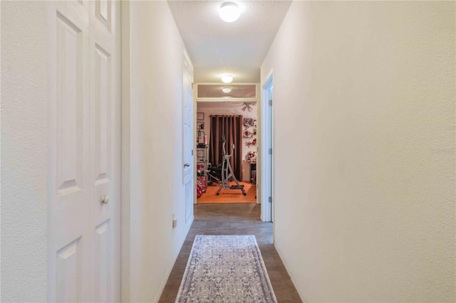 hallway featuring dark hardwood / wood-style floors