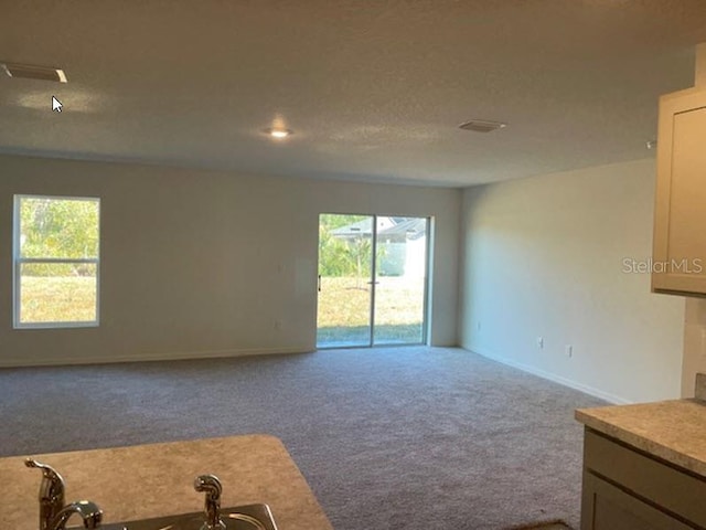 empty room featuring a textured ceiling, carpet floors, a wealth of natural light, and sink