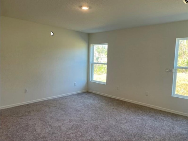 carpeted spare room with a wealth of natural light