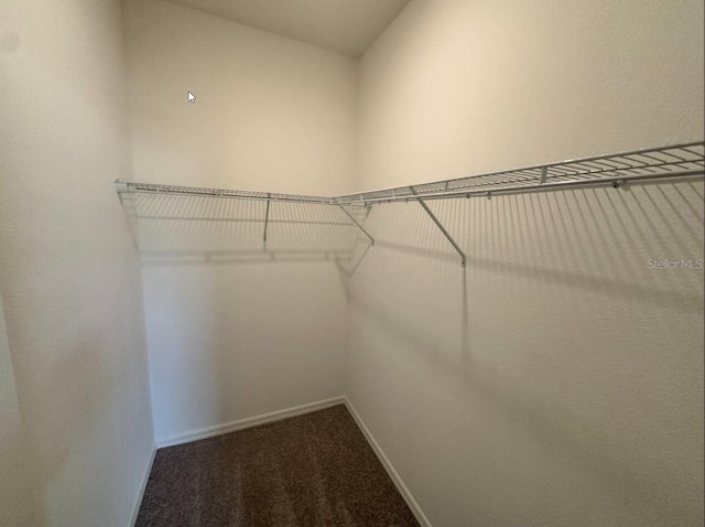 walk in closet featuring carpet flooring