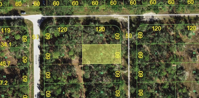 13149 Banyan Dr, Punta Gorda FL, 33955 land for sale