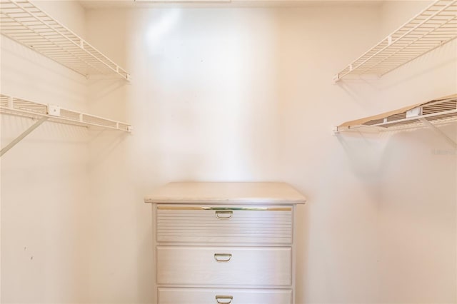 view of spacious closet