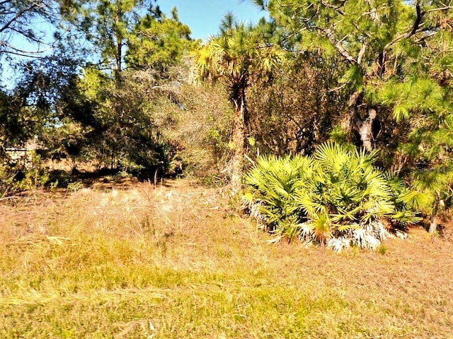 Tasco Dr, North Port FL, 34291 land for sale