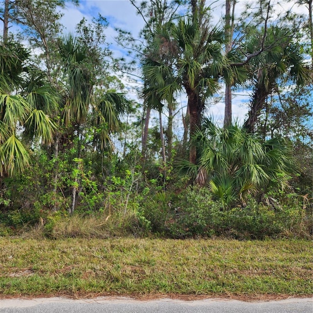 15122 Carousel Ln, Port Charlotte, FL 33953 - photo 1