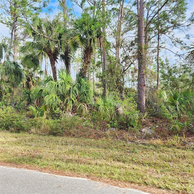 15122 Carousel Ln, Port Charlotte, FL 33953 - photo 4