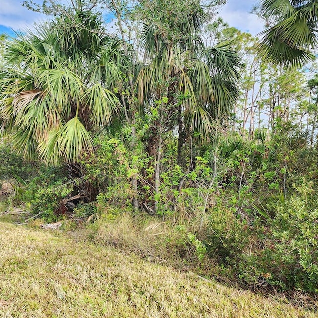 15122 Carousel Ln, Port Charlotte, FL 33953 - photo 5