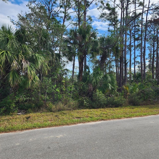 15122 Carousel Ln, Port Charlotte, FL 33953 - photo 6