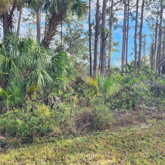 15122 Carousel Ln, Port Charlotte, FL 33953 - photo 8