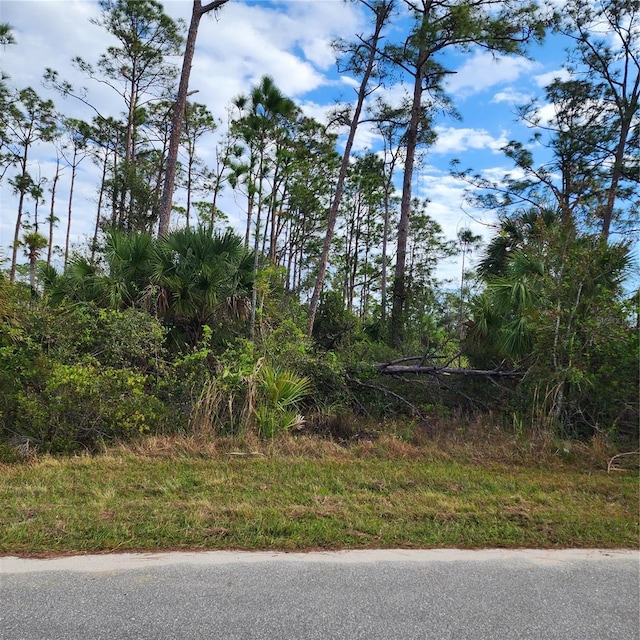 15130 Carousel Ln, Port Charlotte, FL 33953 - photo 1