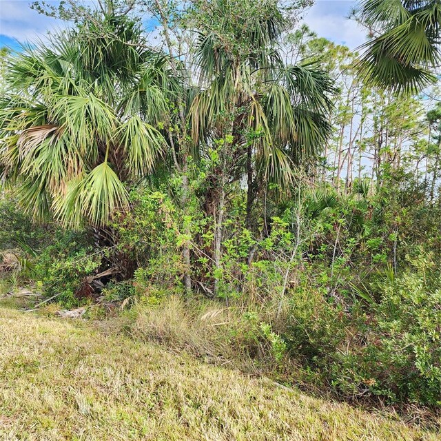 15130 Carousel Ln, Port Charlotte, FL 33953 - photo 8