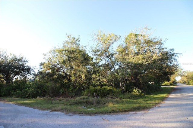 3499 Tiffiny Ave, Punta Gorda FL, 33980 land for sale