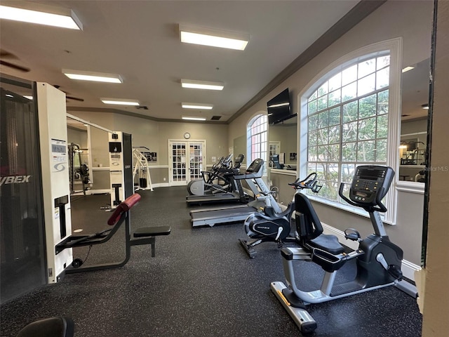 exercise room with crown molding and plenty of natural light