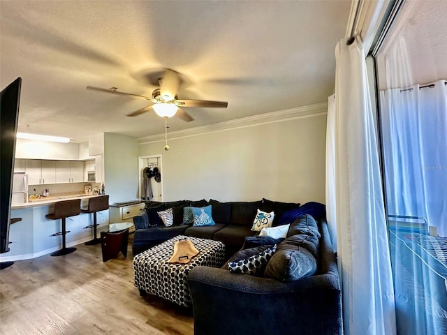 living room with a ceiling fan, light wood-style flooring, and crown molding