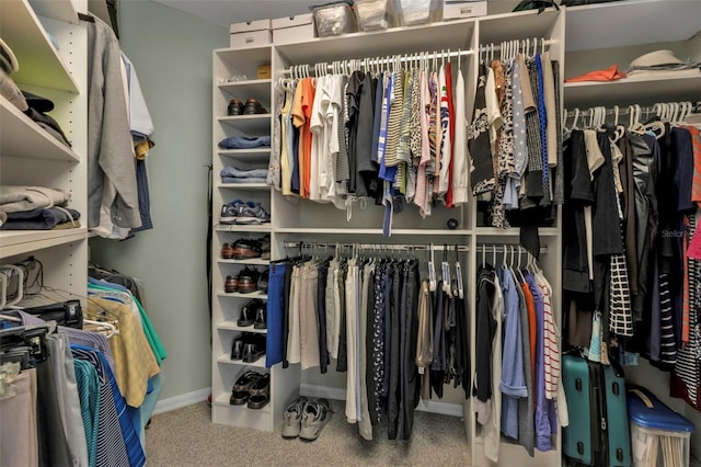 spacious closet featuring carpet flooring