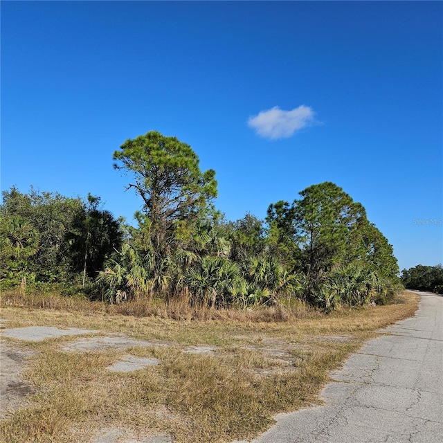 Custer Cir, North Port FL, 34288 land for sale