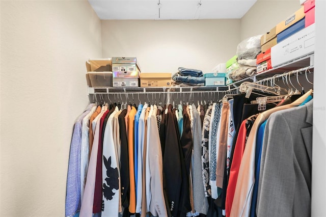 view of spacious closet