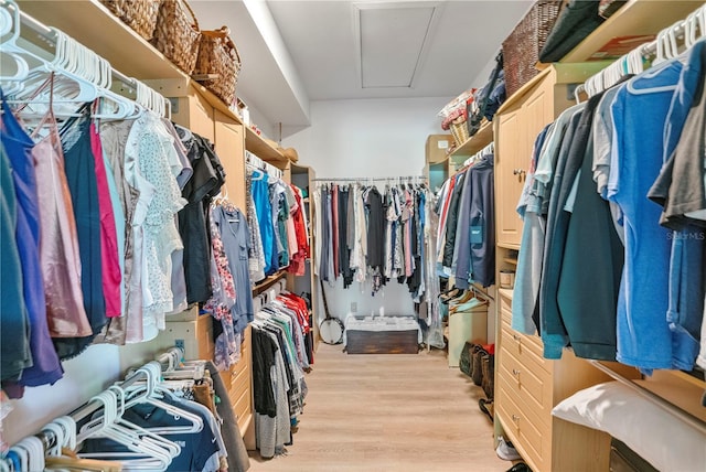 walk in closet with light hardwood / wood-style flooring