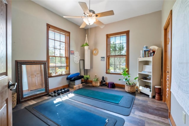 exercise room featuring ceiling fan and dark wood-type flooring