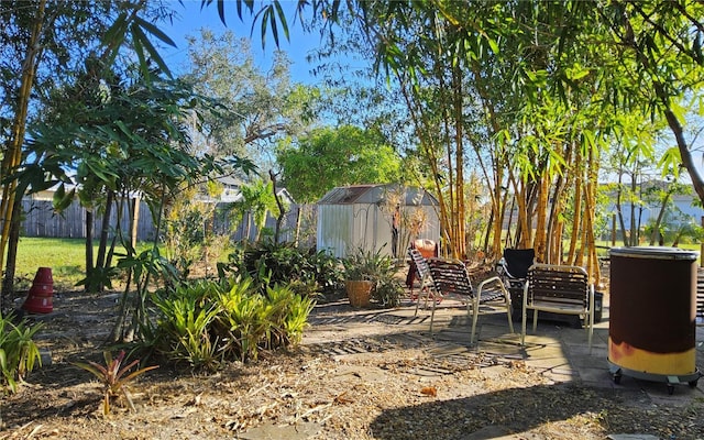 view of yard with a patio area and a storage unit