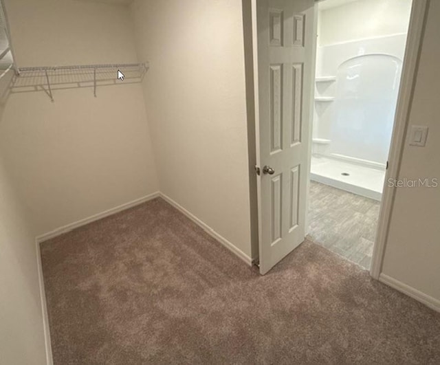 spacious closet featuring carpet floors