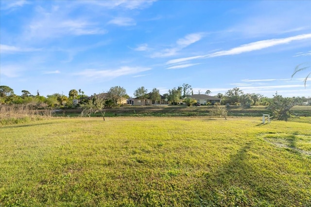 view of yard featuring a rural view