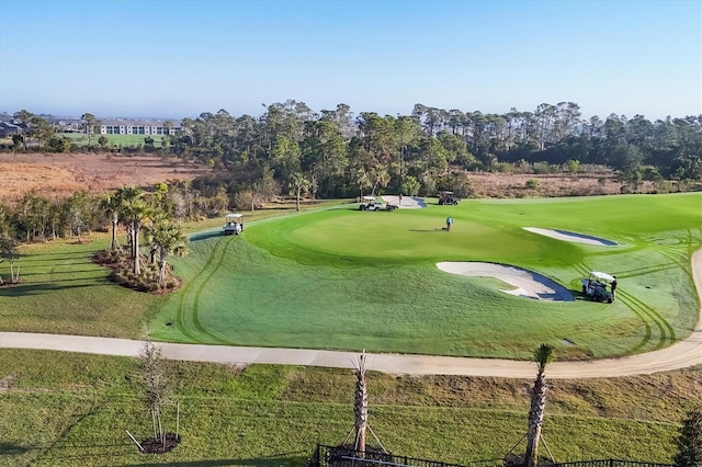 12470 Wellen Golf St Unit 203, Venice, FL 34293 - view of home's community