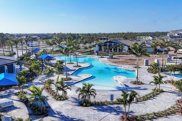 12470 Wellen Golf St Unit 203, Venice, FL 34293 - view of pool