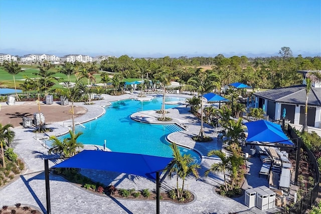 12470 Wellen Golf St Unit 203, Venice, FL 34293 - view of swimming pool with a patio area