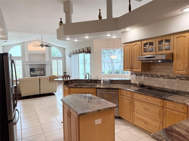 13028 SW Kingsway Cir, Lake Suzy, FL 34269 - kitchen featuring stainless steel appliances, under cabinet range hood, light tile patterned floors, a ceiling fan, and plenty of natural light