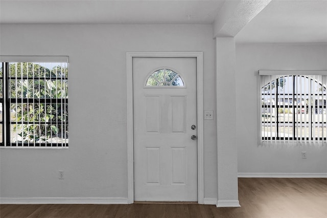 foyer entrance with dark hardwood / wood-style floors