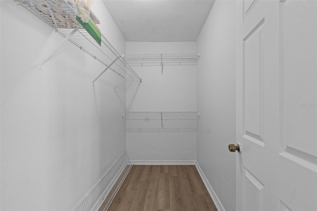 walk in closet featuring wood-type flooring