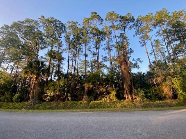 14th, Naples FL, 34117 land for sale