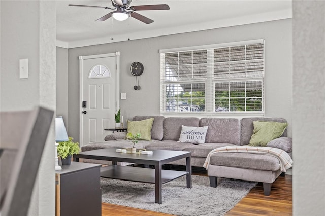 living room with wood-type flooring and ceiling fan